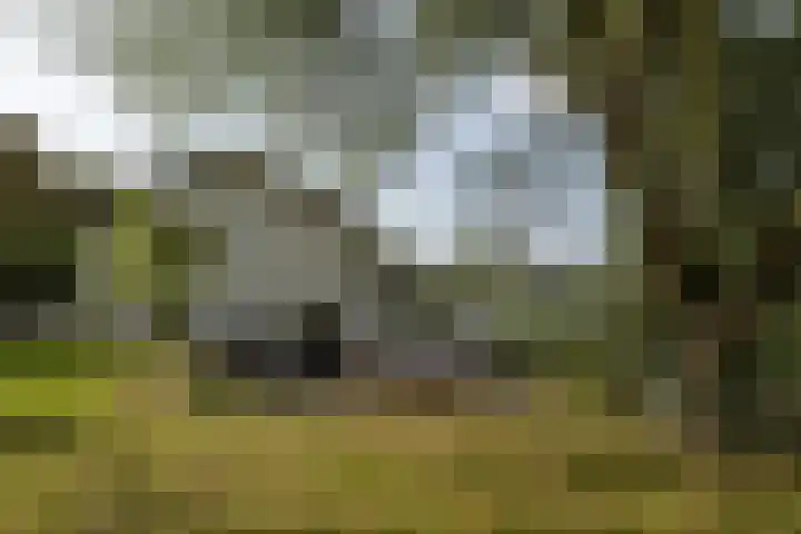 Stationsweg 10 Hedel thumbnail 34