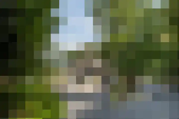 Stationsweg 10 Hedel thumbnail 4