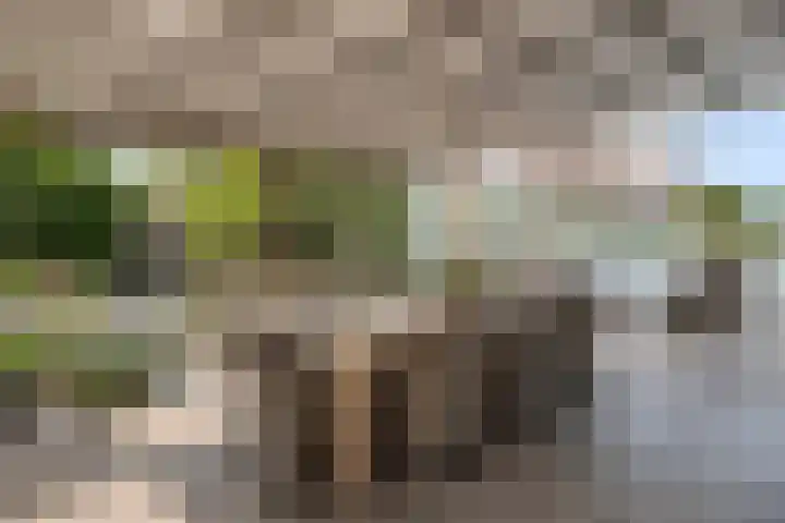 Stationsweg 10 Hedel thumbnail 7