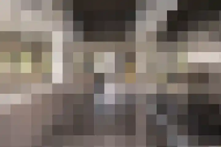 Stationsweg 10 Hedel thumbnail 9