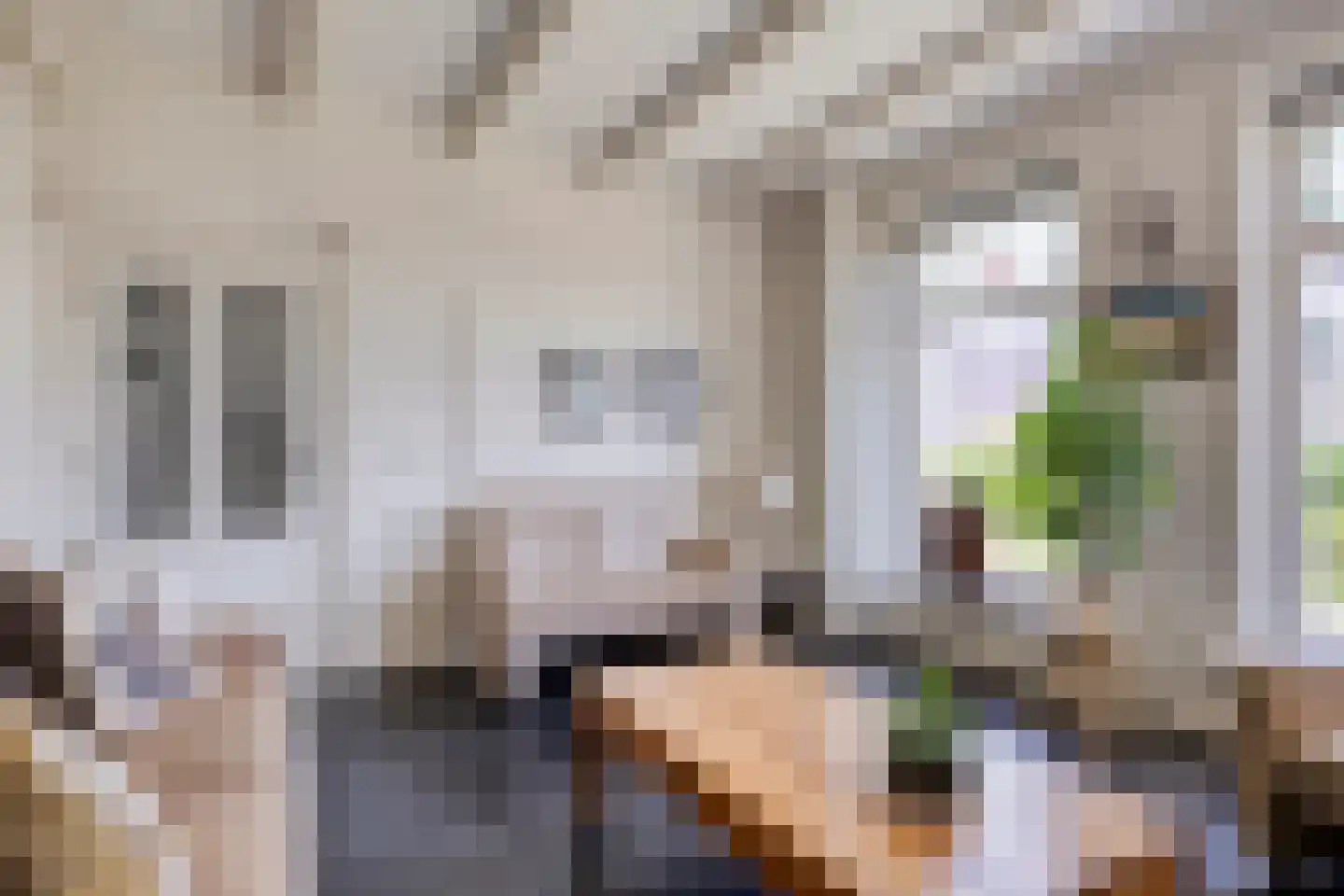 Stationsweg 12 Blije thumbnail 10