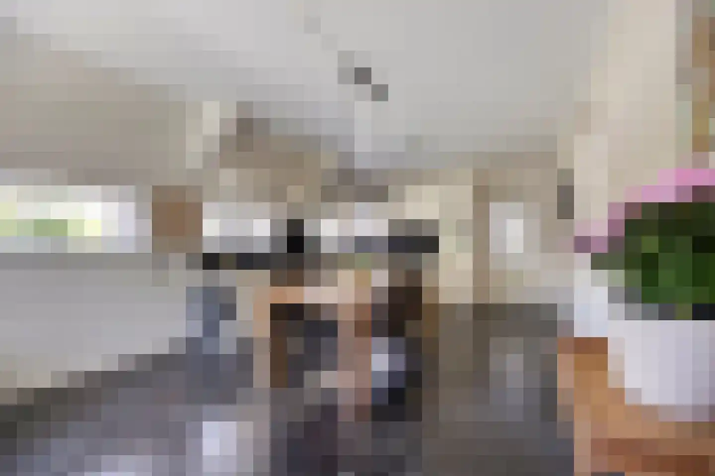 Stationsweg 12 Blije thumbnail 12