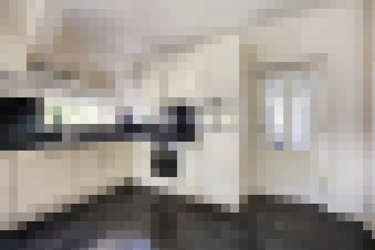 Stationsweg 12 Blije thumbnail 13