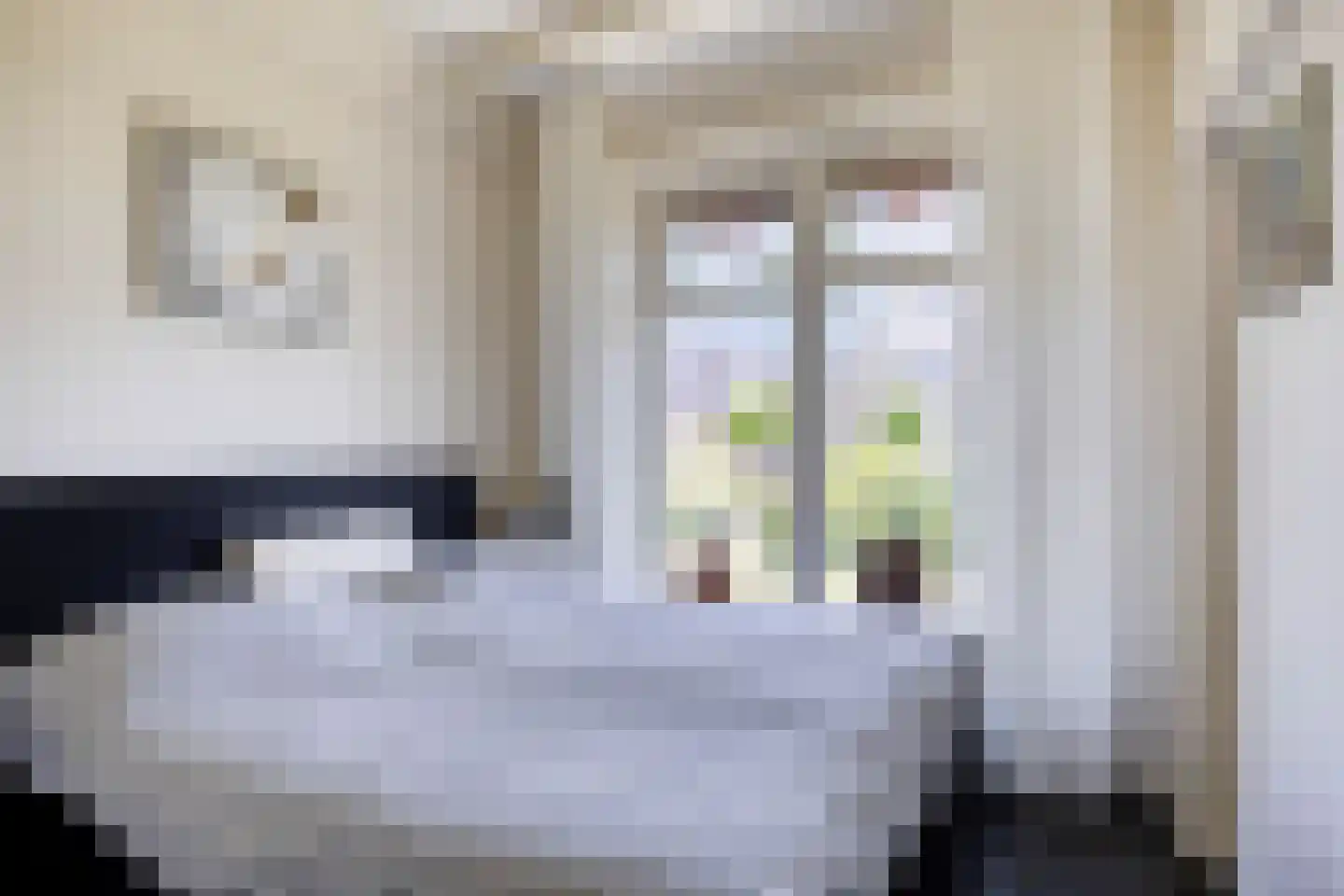 Stationsweg 12 Blije thumbnail 16