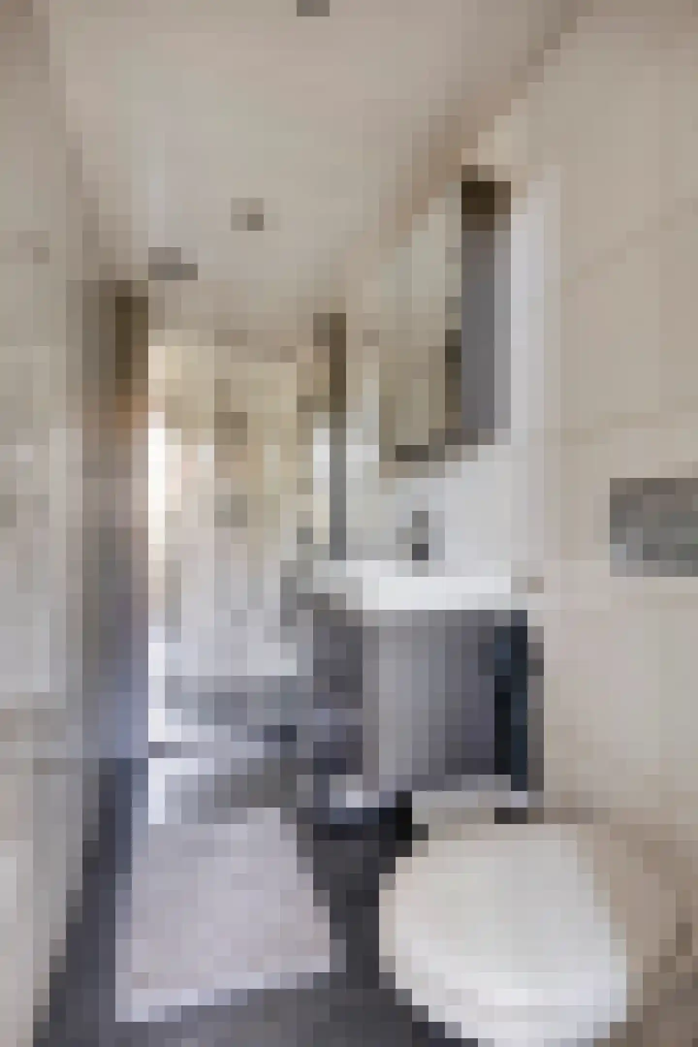 Stationsweg 12 Blije thumbnail 18