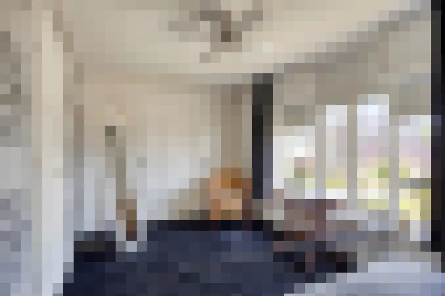 Stationsweg 12 Blije thumbnail 25