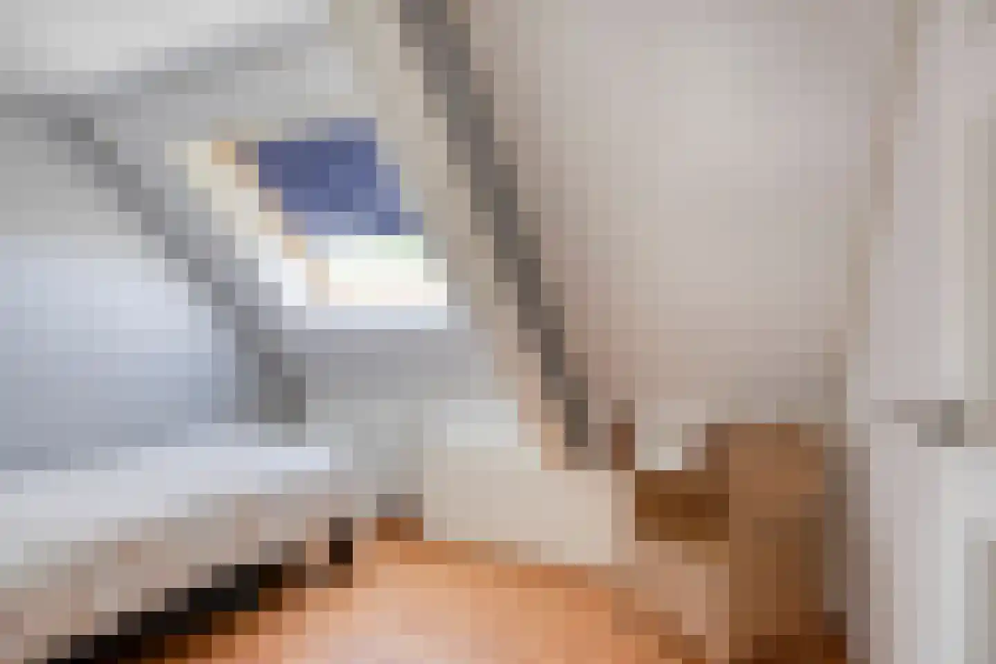 Stationsweg 12 Blije thumbnail 28