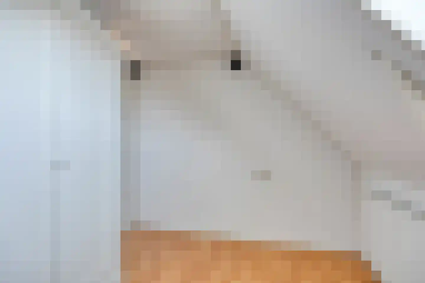 Stationsweg 12 Blije thumbnail 31