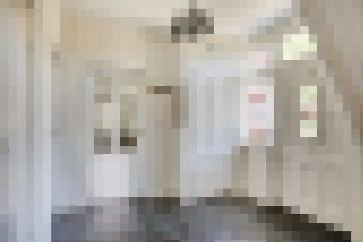 Stationsweg 12 Blije thumbnail 8