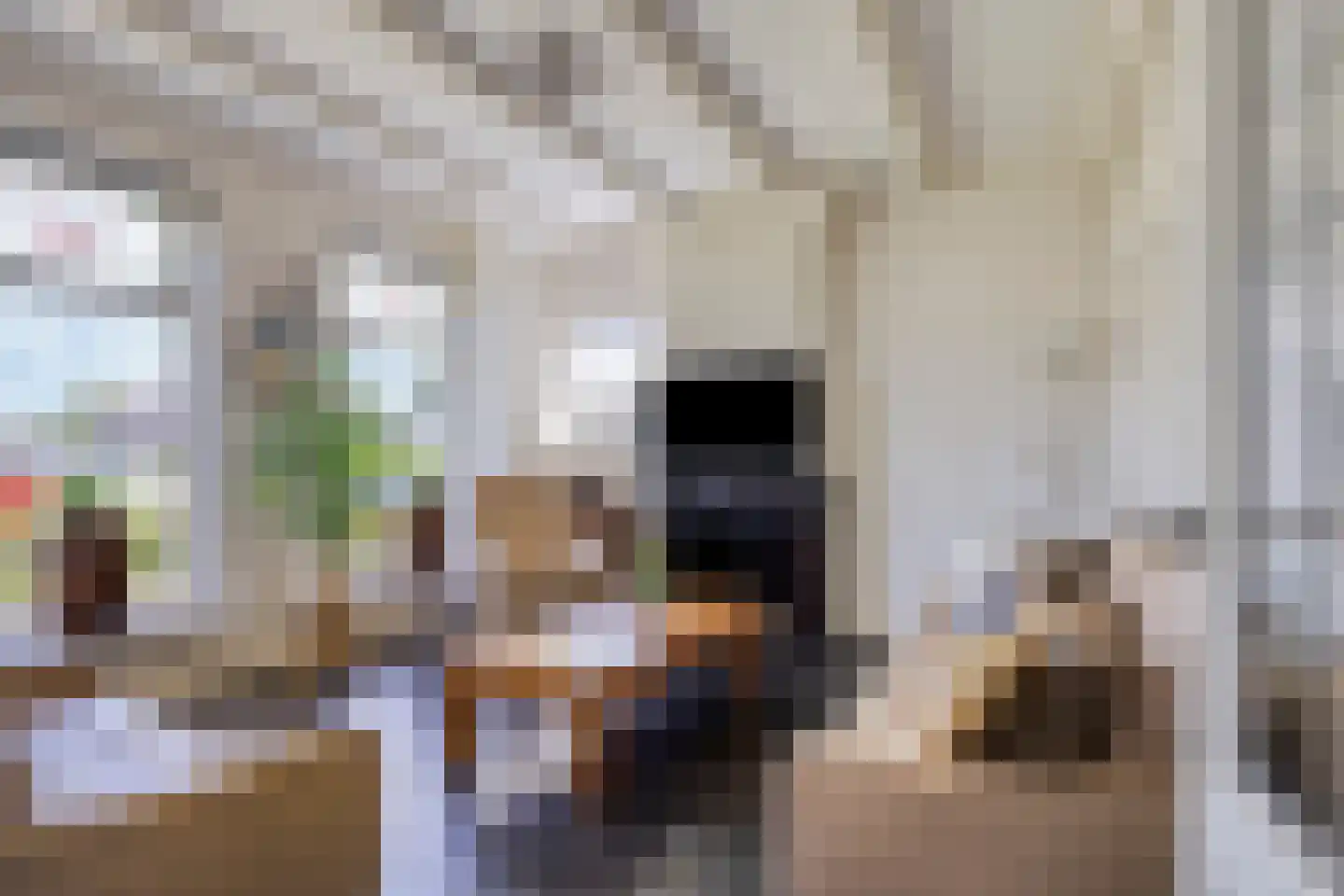 Stationsweg 12 Blije thumbnail 9