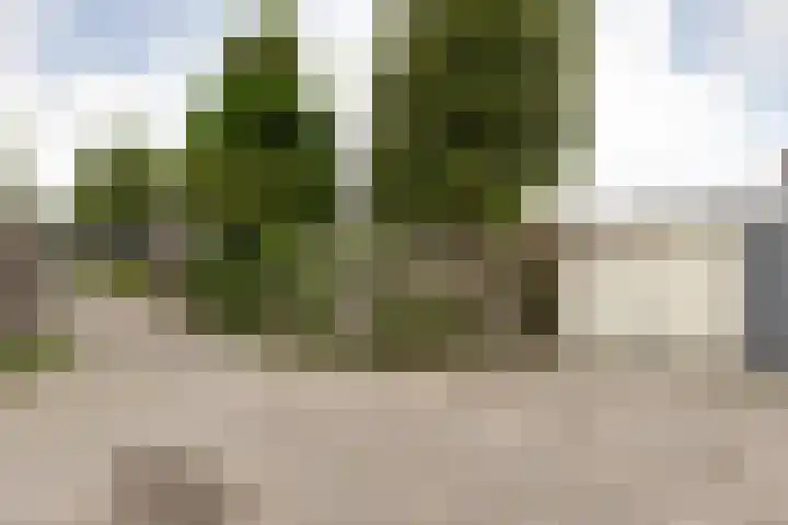 Stationsweg 13 Grou thumbnail 4