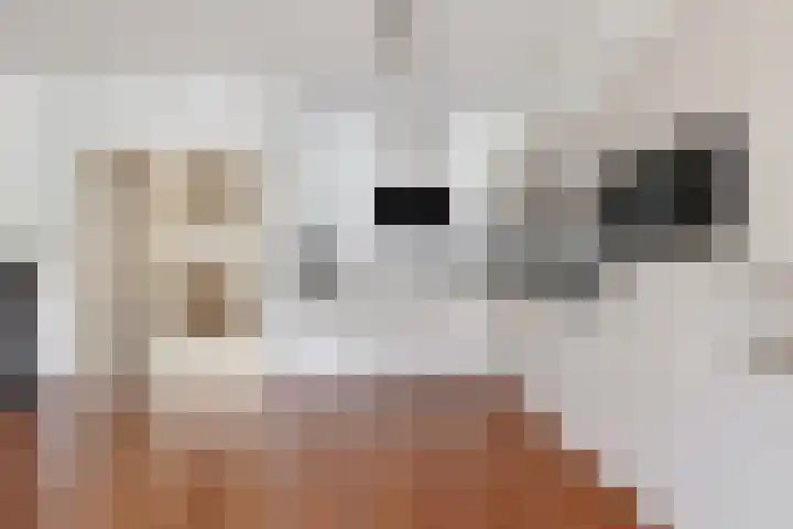 Stationsweg 150 Heiloo thumbnail 10