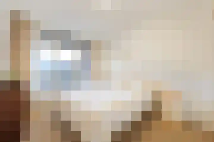 Stationsweg 162 Heiloo thumbnail 12