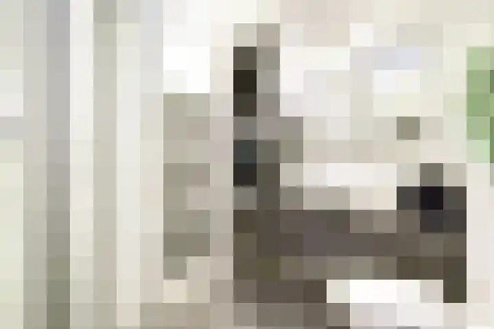 Stationsweg 171 Leerdam thumbnail 25