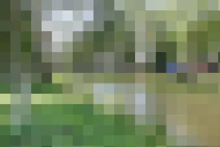Stationsweg 171 Leerdam thumbnail 37