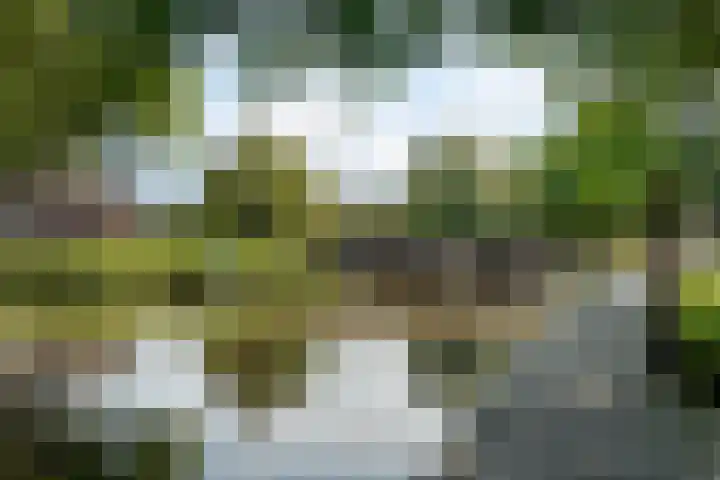 Stationsweg 19 Breda thumbnail 46