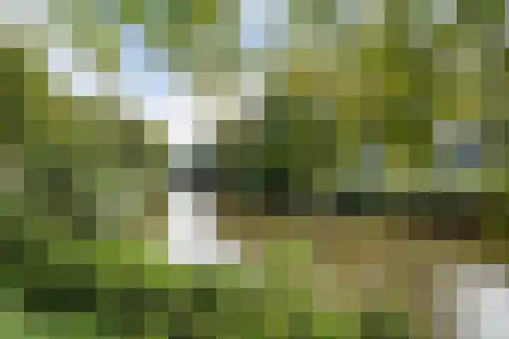 Stationsweg 19 Breda thumbnail 47