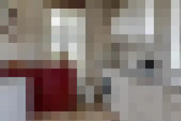 Stationsweg 2 Aalten thumbnail 13