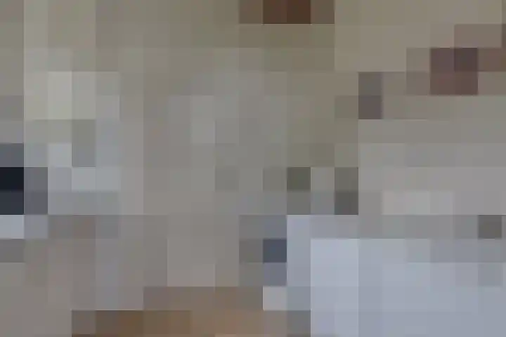 Stationsweg 2 Aalten thumbnail 15