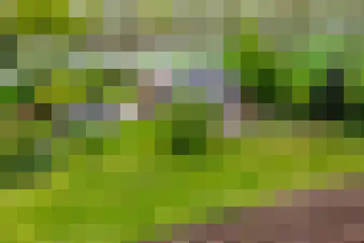 Stationsweg 2 Aalten thumbnail 29
