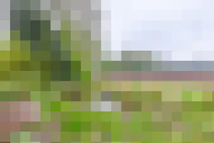 Stationsweg 2 Aalten thumbnail 36