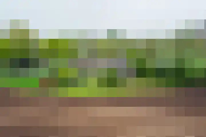 Stationsweg 2 Aalten thumbnail 45