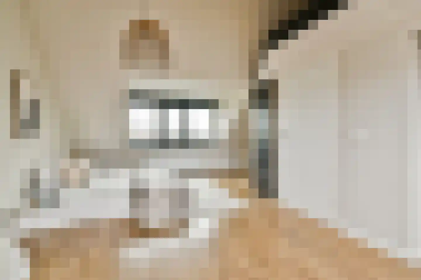Stationsweg 2 Monster thumbnail 41