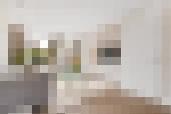 Stationsweg 20 b Bunnik thumbnail 10