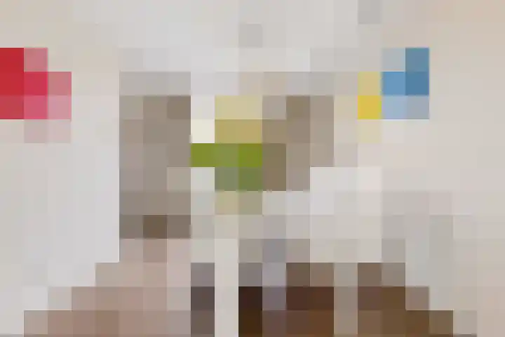 Stationsweg 20 b Bunnik thumbnail 11