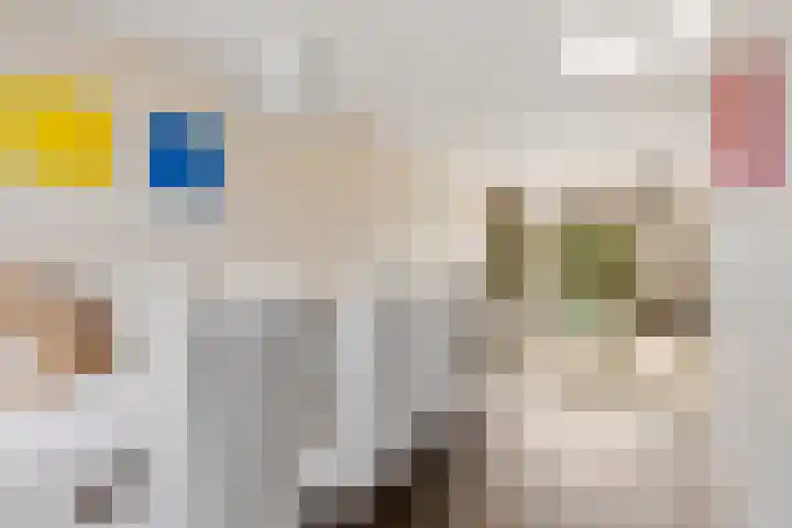 Stationsweg 20 b Bunnik thumbnail 13