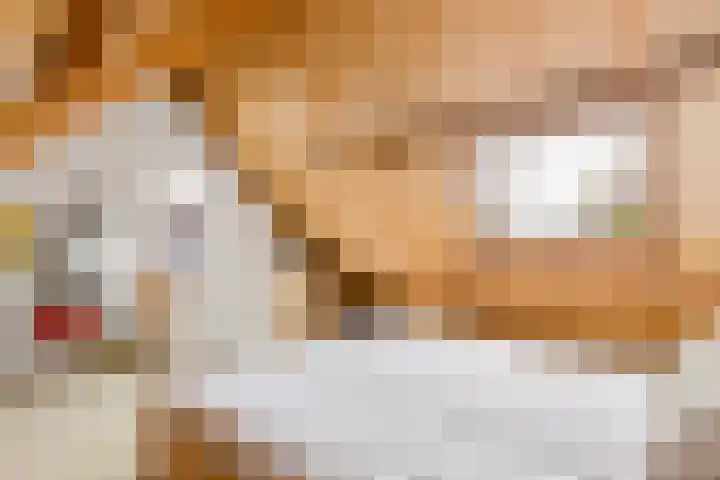 Stationsweg 20 b Bunnik thumbnail 32