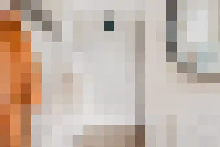 Stationsweg 20 b Bunnik thumbnail 6