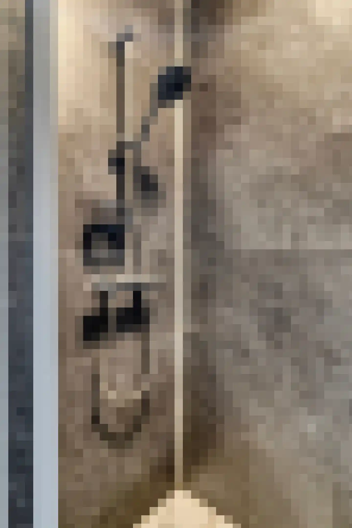 Stationsweg 22 Schagen thumbnail 23