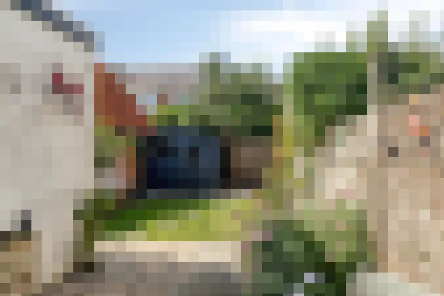 Stationsweg 22 Schagen thumbnail 5