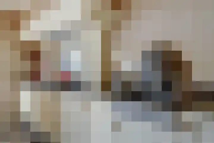 Stationsweg 23 Schagen thumbnail 14