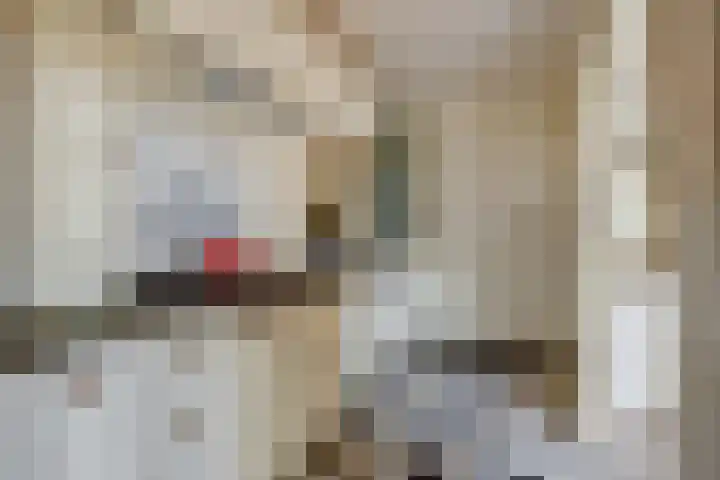 Stationsweg 23 Schagen thumbnail 15