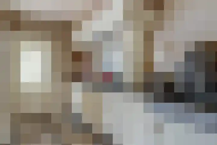 Stationsweg 23 Schagen thumbnail 16