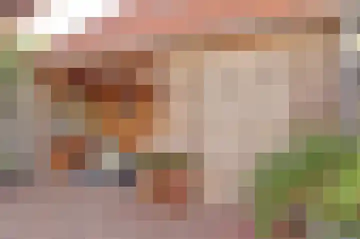 Stationsweg 23 Schagen thumbnail 23