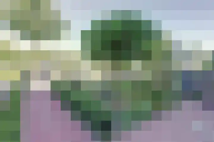 Stationsweg 23 Schagen thumbnail 38