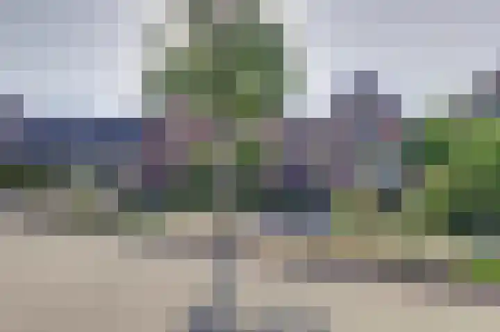 Stationsweg 23 Schagen thumbnail 39