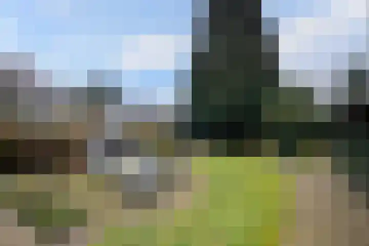 Stationsweg 24 Colmschate thumbnail 34