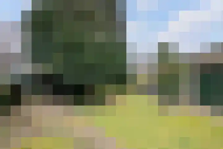 Stationsweg 24 Colmschate thumbnail 36