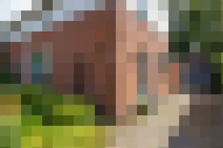 Stationsweg 28 Appingedam thumbnail 24