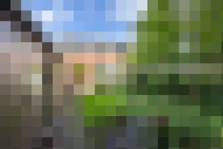 Stationsweg 28 Appingedam thumbnail 29