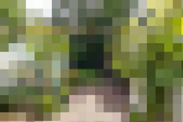 Stationsweg 28 Appingedam thumbnail 32
