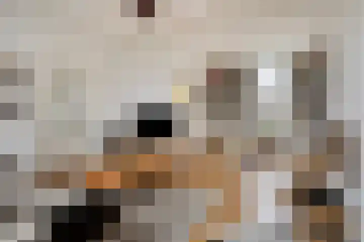 Stationsweg 3 Nuenen thumbnail 12