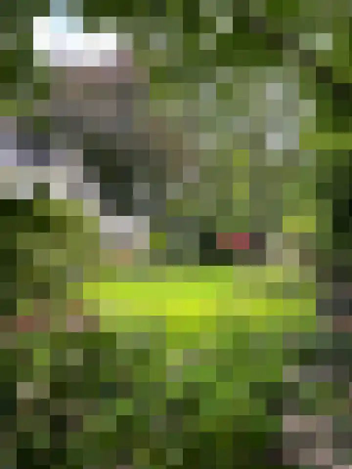 Stationsweg 3 Nuenen thumbnail 40