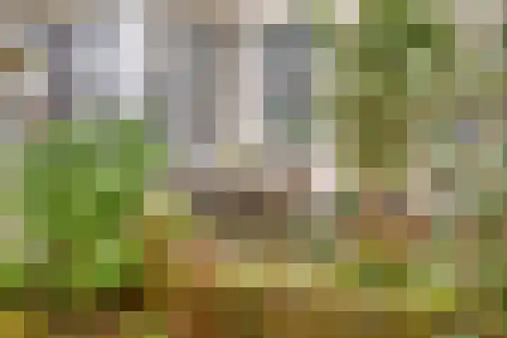 Stationsweg 3 Nuenen thumbnail 41