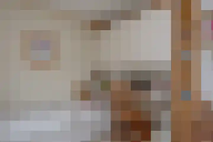 Stationsweg 31 Oldebroek thumbnail 19