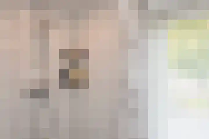 Stationsweg 31 Oldebroek thumbnail 23